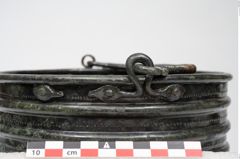 Foto von Bronzerippenziste (NHMW-PRAE-025670)